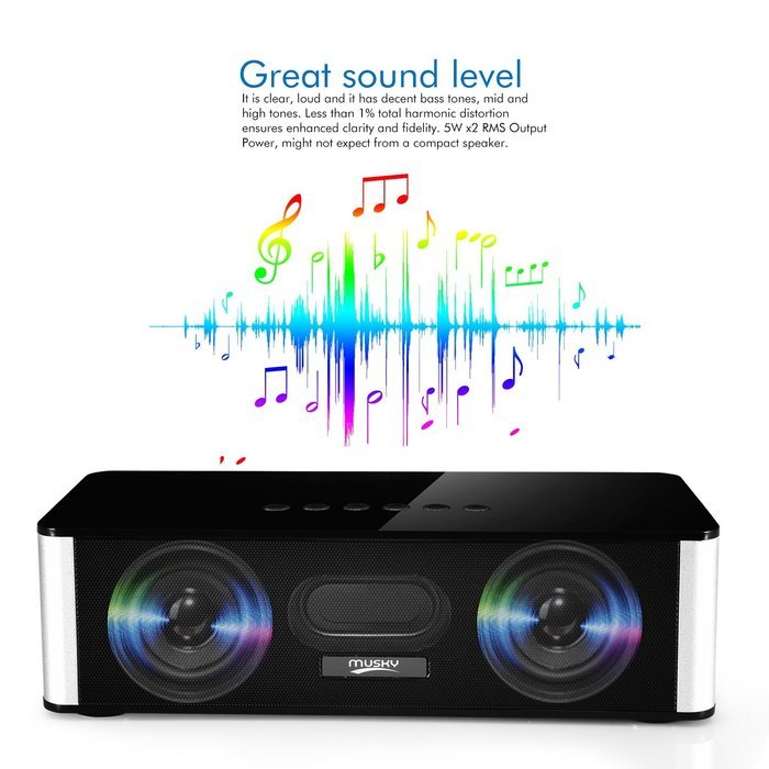 Musky Portable Bluetooth Speaker DY-21, Wireless Speaker with Hands-free, 10W Home Bluetooth Speaker with FM Radio... N4