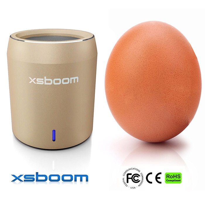 XSBOOM Mini Bluetooth Speaker for Apple iPad iPhone iPod MP3 | Best Small Portable Wireless Speakers with Android... N10
