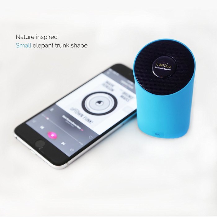 Portable Wireless Speaker