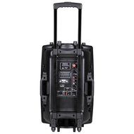 AW 1500W Portable Active PA Speaker w/ Wireless Microphone Guitar AMP Bluetooth USB SD LCD FM Party Show N5