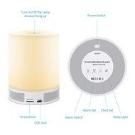 LED Bluetooth Speaker, SAVFY Portable Wireless Speakers with LED Table Lamp, Alarm Clock, Hands-Free Speakerphone... N4