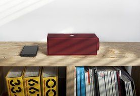 Native Union Switch Bluetooth Speaker - SWITCH-GLD-ROSE-MT - Rose Gold N11