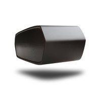 PowerLead 5W Portable Bluetooth Speaker with SD Card and AUX-In Function, Handsfree Speakerphone with Built-in... N44