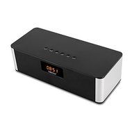 XREXS DY-27 Portable Wireless Bluetooth Stereo Speakers with Radio and Alarm Clock Built-in Microphone Hands-free... N4