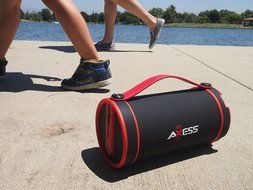 Axess SPBT1033-BR Portable Bluetooth Indoor/Outdoor 2.1 Hi-Fi Cylinder Loud Speaker with SD Card, AUX and FM Inputs... N8