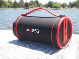 Axess SPBT1033-BR Portable Bluetooth Indoor/Outdoor 2.1 Hi-Fi Cylinder Loud Speaker with SD Card, AUX and FM Inputs... N9