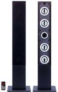 Craig Tower Speaker System with FM Radio and USB/SD Slot, Black (CHT909)