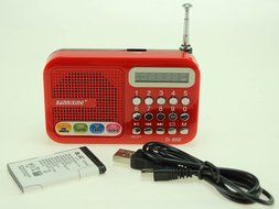 Anncia Mini Digital Media Portable Music MP3 Player Micro SD/TF USB Disk Speaker FM Radio. (69E Red) N18