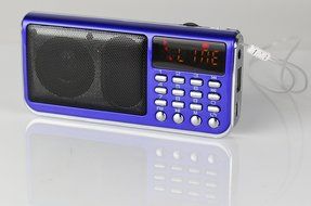 Anncia Mini Digital Media Portable Music MP3 Player Micro SD/TF USB Disk Speaker FM Radio. (69E Red) N19