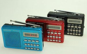 Anncia Mini Digital Media Portable Music MP3 Player Micro SD/TF USB Disk Speaker FM Radio. (69E Red) N38