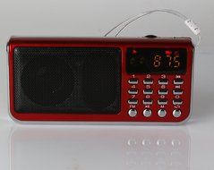 Anncia Mini Digital Media Portable Music MP3 Player Micro SD/TF USB Disk Speaker FM Radio. (69E Red) N60