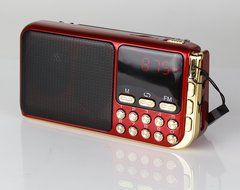 Anncia Mini Digital Media Portable Music MP3 Player Micro SD/TF USB Disk Speaker FM Radio. (69E Red) N61