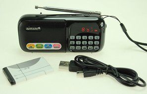 Anncia Mini Digital Media Portable Music MP3 Player Micro SD/TF USB Disk Speaker FM Radio. (69E Red) N104