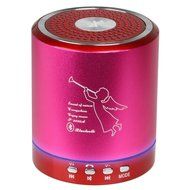 RELPER Wireless Portable Mini Bluetooth Speaker Build in Microphone for handfree phone call Support TF/USB/Radio... N6