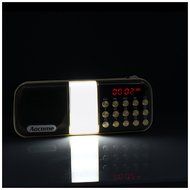 Aocome Portable Mini AM FM Radio Clear Speaker Music Player, Micro SD/TF Card Slot, USB Charging Cord, Rechargeable... N23