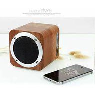 PowerLead Pspe PSP011 Wood Bluetooth 4.0 Wireless Speaker with FM Radio 1800mAh Rechargable Battery N4