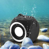 PowerLead Pspe PSP011 Wood Bluetooth 4.0 Wireless Speaker with FM Radio 1800mAh Rechargable Battery N58