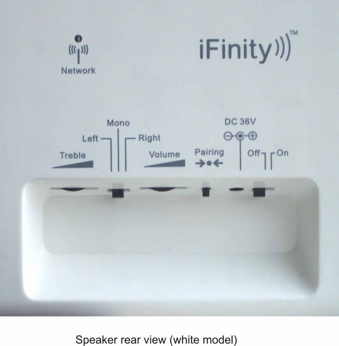 iFinity Wireless Indoor/Outdoor Speaker - Bundle 1 Black N5