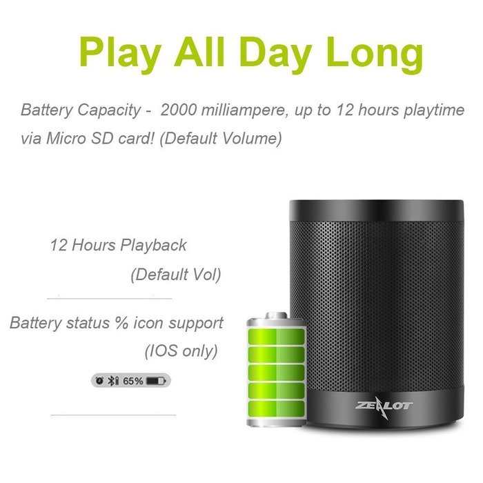 Zealot S5 Portable Bluetooth Speakers Mini Wireless Music Player via Micro SD Card/USB Reader/FM Radio Loud Super... N6