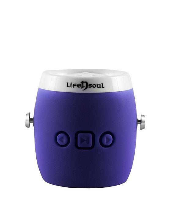 Life n Soul BM101-BR IPX4 Mini Water Resistant Bluetooth Speaker (Black) N13