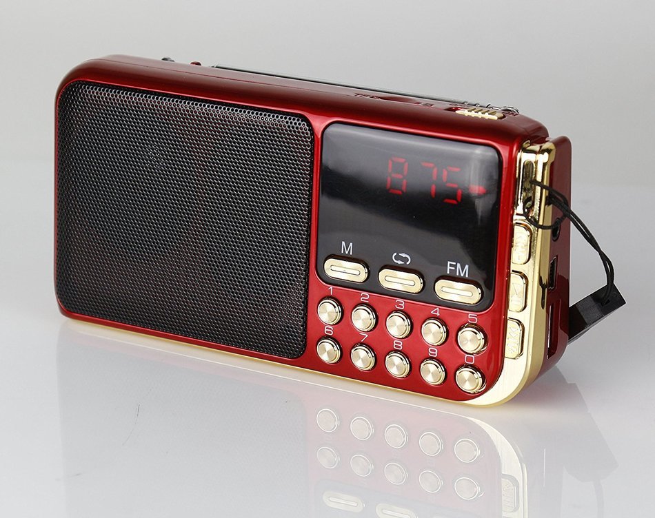 Anncia Mini Digital Media Portable Music MP3 Player Micro SD/TF USB Disk Speaker FM Radio. (69E Red) N61