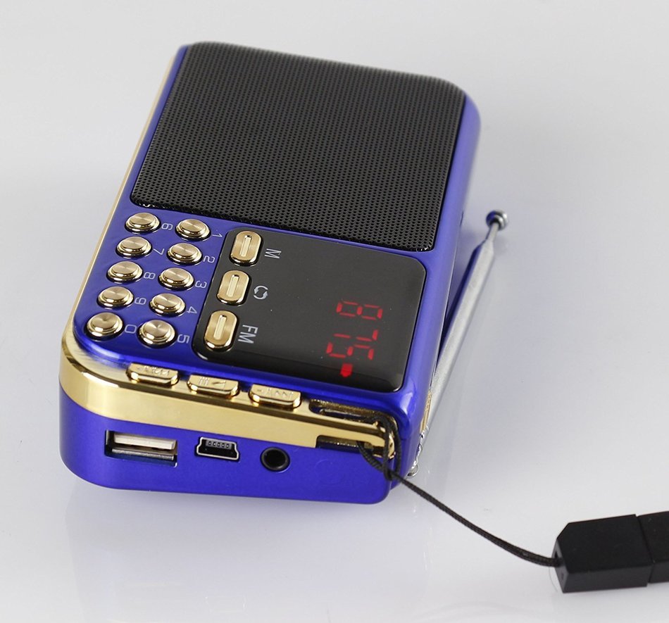 Anncia Mini Digital Media Portable Music MP3 Player Micro SD/TF USB Disk Speaker FM Radio. (69E Red) N97