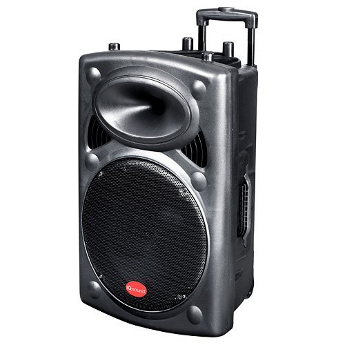 Supersonic IQ3012DJBT 12-Inch Professional Active Speaker with Bluetooth, USB/SD/Mic Inputs and FM Radio