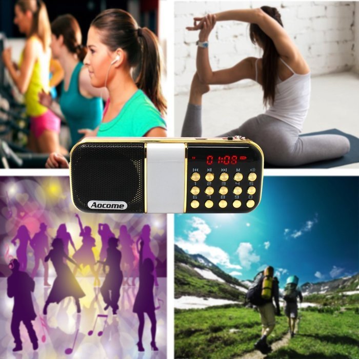 Aocome Portable Mini AM FM Radio Clear Speaker Music Player, Micro SD/TF Card Slot, USB Charging Cord, Rechargeable... N22