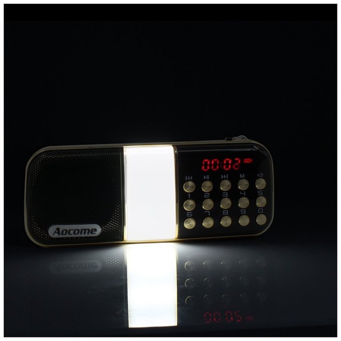 Aocome Portable Mini AM FM Radio Clear Speaker Music Player, Micro SD/TF Card Slot, USB Charging Cord, Rechargeable... N23