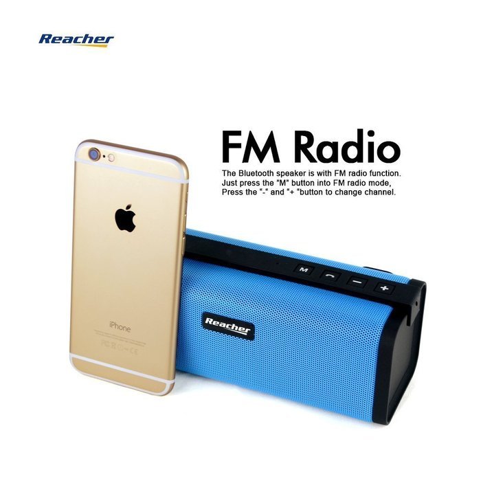 Reacher Portable Bluetooth Speaker FM Radio MP3 Player Built-In Power Bank, Mic, Micro TF SD Card, USB Input,... N3