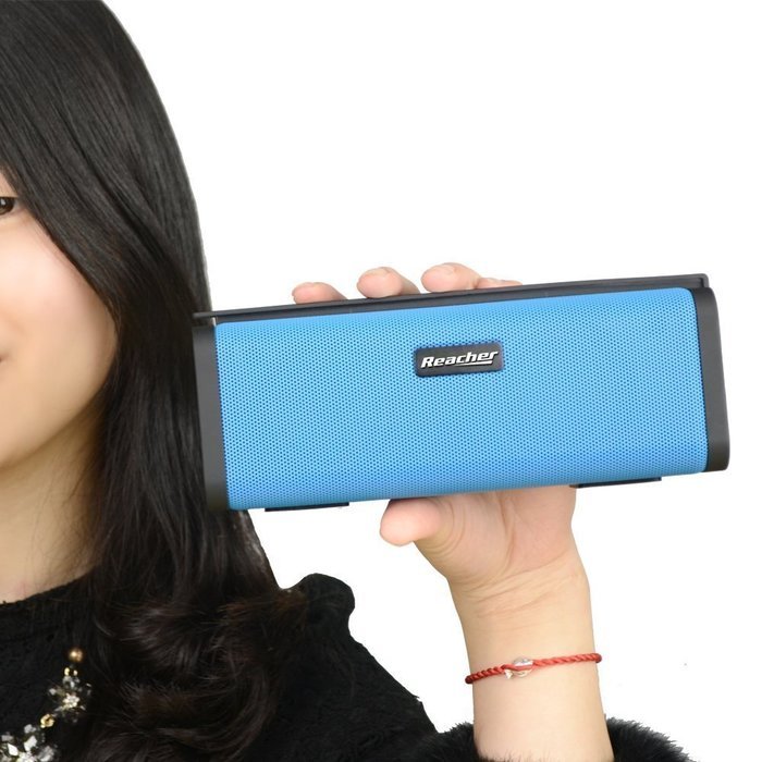Reacher Portable Bluetooth Speaker FM Radio MP3 Player Built-In Power Bank, Mic, Micro TF SD Card, USB Input,... N5