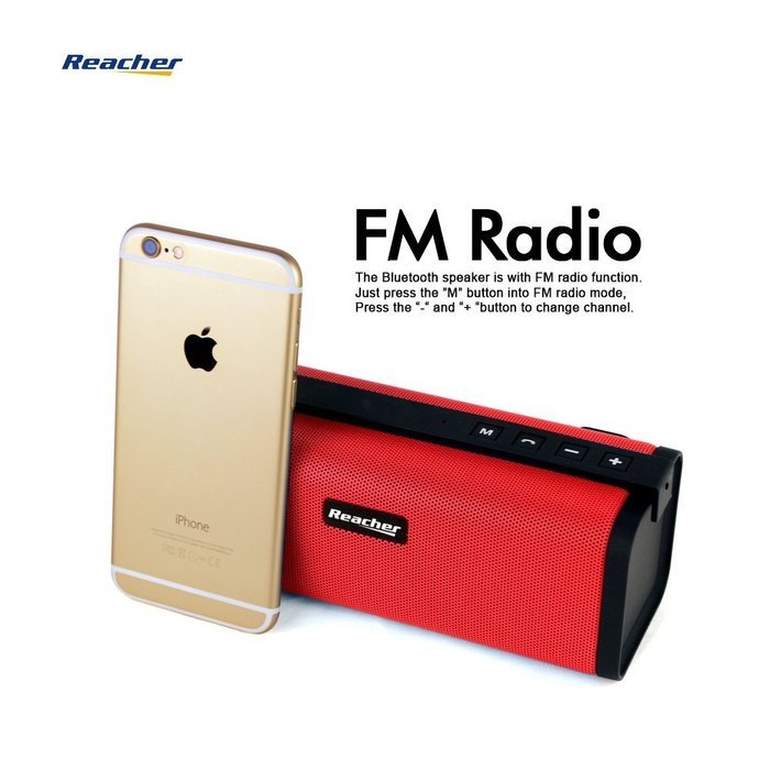 Reacher Portable Bluetooth Speaker FM Radio MP3 Player Built-In Power Bank, Mic, Micro TF SD Card, USB Input,... N12