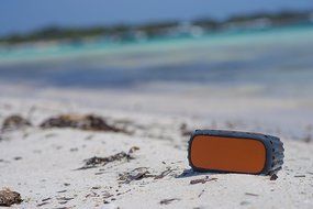 ECOXGEAR - ECOROX Rugged and Waterproof Wireless Bluetooth Speaker - Black N20