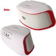 BraveGo Portable Bluetooth 3.0 Wireless Pill Speaker with Fm Radio Support, 3.5mm Connector, Built-in Microphone... N23