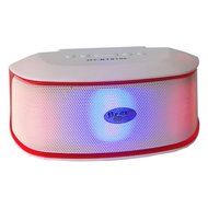 BraveGo Portable Bluetooth 3.0 Wireless Pill Speaker with Fm Radio Support, 3.5mm Connector, Built-in Microphone... N24