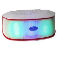 BraveGo Portable Bluetooth 3.0 Wireless Pill Speaker with Fm Radio Support, 3.5mm Connector, Built-in Microphone... N25