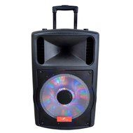 beFree Sound 12&quot; Bluetooth Portable Speaker with USB and SD Inputs