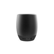 Icon Q - Boundless S2 Bluetooth v2.1 Speaker with Microphone - Black - QBS620 N2