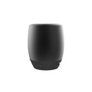 Icon Q - Boundless S2 Bluetooth v2.1 Speaker with Microphone - Black - QBS620 N6