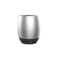 Icon Q - Boundless S2 Bluetooth v2.1 Speaker with Microphone - Black - QBS620 N18