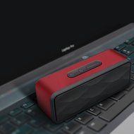 TWOPAGES Portable FM Radio Wireless Bluetooth 4.0 Speaker Hands Free Calling Mic, Micro TF SD Card,10 Hour Play... N5