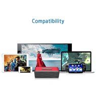 TWOPAGES Portable FM Radio Wireless Bluetooth 4.0 Speaker Hands Free Calling Mic, Micro TF SD Card,10 Hour Play... N6