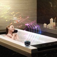 LAF012-Blue Portable Wireless Bluetooth Waterproof Shower Speaker Rechargeable Powerful Stereo Music Loudspeaker... N8