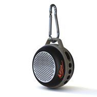 iFox IFS303 Ultra Portable Wireless Bluetooth Speaker for iPhone iPad iPod Android or PC with FM Radio, AUX, SD...