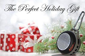 iFox IFS303 Ultra Portable Wireless Bluetooth Speaker for iPhone iPad iPod Android or PC with FM Radio, AUX, SD... N2