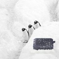 Portable Bluetooth Speaker 4.0 with 12-hour Playtime, 33 ft Bluetooth Range, Built-in Mic, Dual-Driver, Water-proof... N5