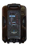 Portable Speaker 12" 1300W PA System, 2 Wireless Microphones, Bluetooth, Rechargeable, LED N4