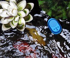 Tree-Labs KOI Waterproof IPX6 Bluetooth Speaker (Sea blue) N8
