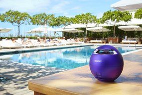 Sony SRS-X1-V Bluetooth Wireless Speaker System N5