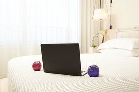 Sony SRS-X1-V Bluetooth Wireless Speaker System N7